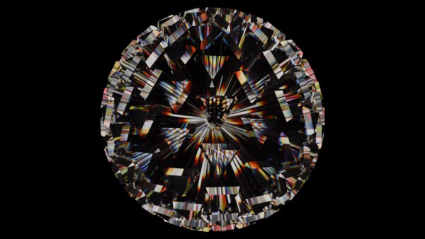 2024 Prism - Image 2