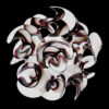 2025.prs5 - Image 2