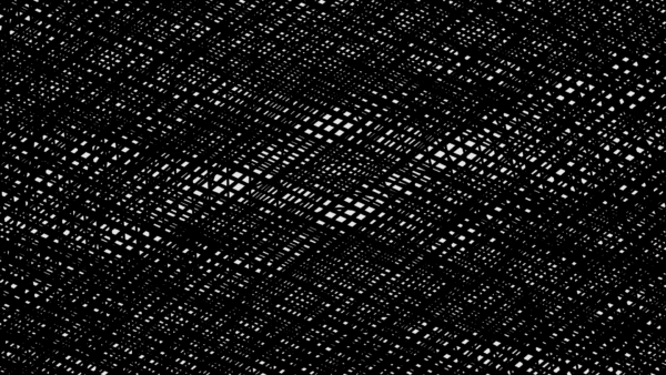 2022.int2 - Image 7